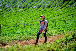 BIB: 
                            <button type="button" onclick="openModal(19164207)" class="btn btn-primary btn-sm float-right btn-popup" data-toggle="modal" data-target=".modal-high-quality">
                        <i class="fas fa-shopping-cart"></i> Add to Cart
                    </button>
                                            <button type="button" onclick="isThisMe(19164207, true)" class="btn btn-success btn-sm float-right btn-popup btn-isme hidden" data-toggle="tooltip" data-placement="bottom" title="นี่คือรูปของคุณใช่ไหม คลิกที่นี่เพื่อเอาเข้าอัลบั้ม">
                        <i class="fas fa-plus"></i> Add to album
                    </button>
                    <button type="button" onclick="isThisMe(19164207, false)" class="btn btn-warning btn-sm float-right btn-popup btn-isnotme hidden">
                        <i class="fas fa-ban"></i> Remove from album
                    </button>